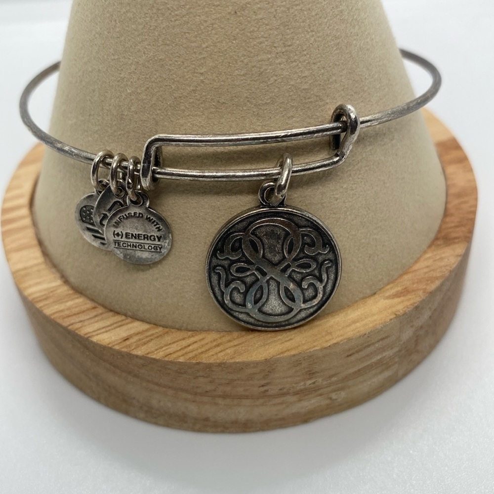 Alex and Ani Path of Life Charm Infinity Symbol Silver Bangle Bracelet